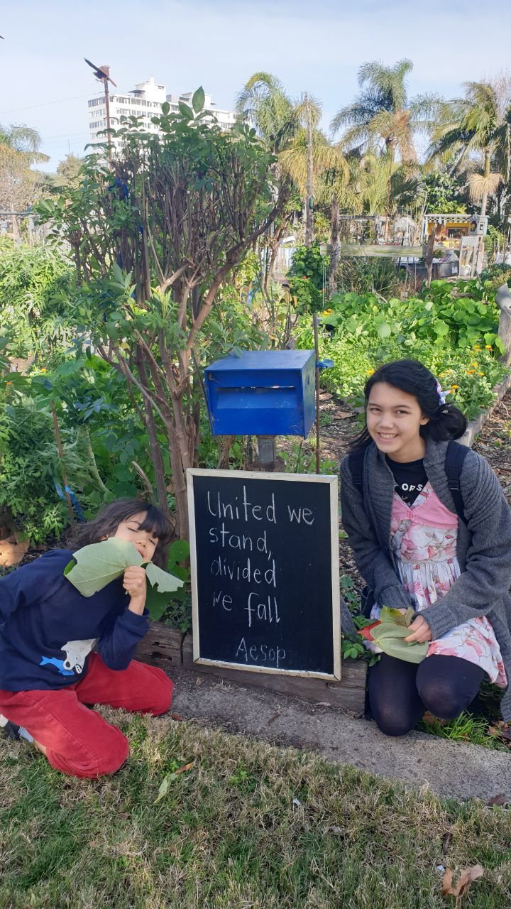 Nothing but the truth