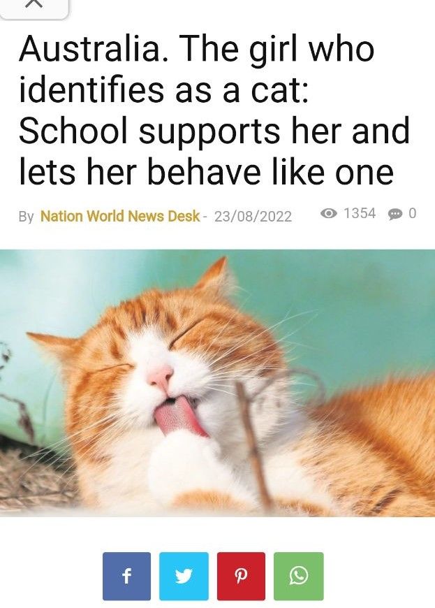 The weaponizing of identity to destroy the West